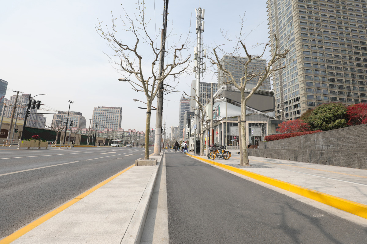 曹楊路（桃浦路-光復(fù)西路）架空線入地和合桿整治工程配套項目